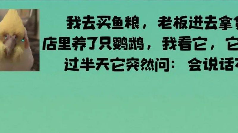 预制菜餐盒材质大揭秘：PP与PET的差异化解析