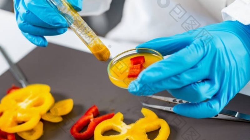 食品招商公司成功案例分析：揭秘合作共赢之道